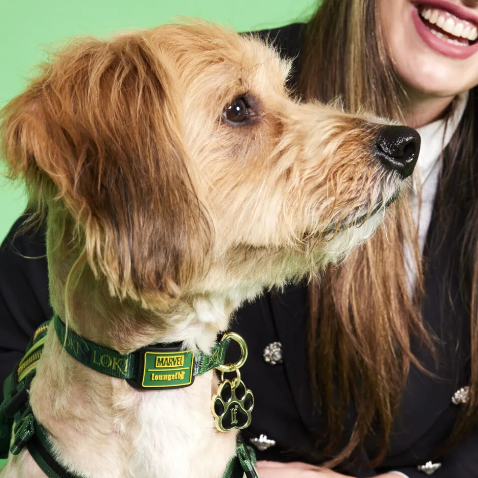 Marvel Pet Accessories<Loki Dog Collar