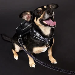 Star Wars Pet Accessories< Darth Vader Dog Collar
