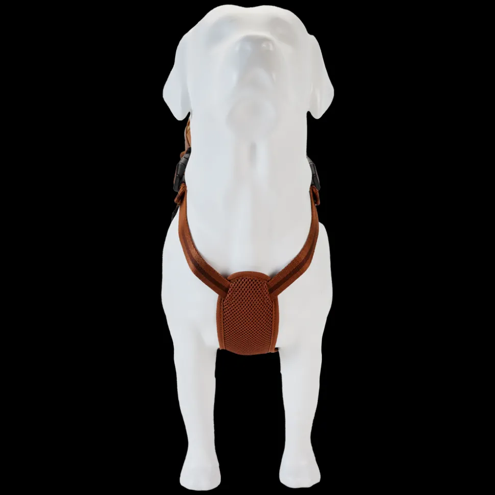 Star Wars Pet Accessories< Ewok Cosplay Mini Backpack Dog Harness