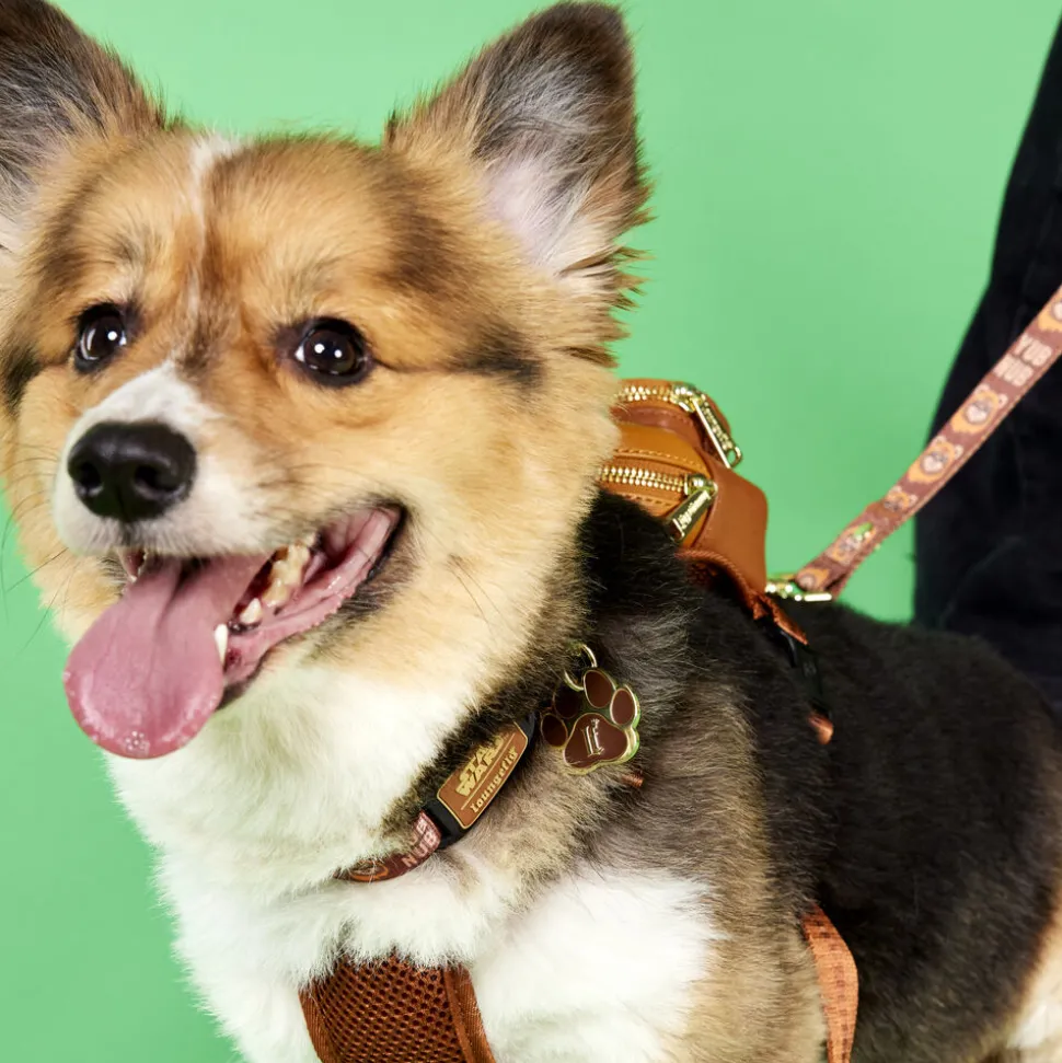 Star Wars Pet Accessories< Ewok Dog Collar