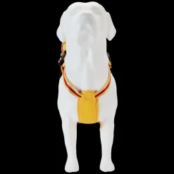 Disney Pet Accessories<Winnie The Pooh Cosplay Mini Backpack Dog Harness