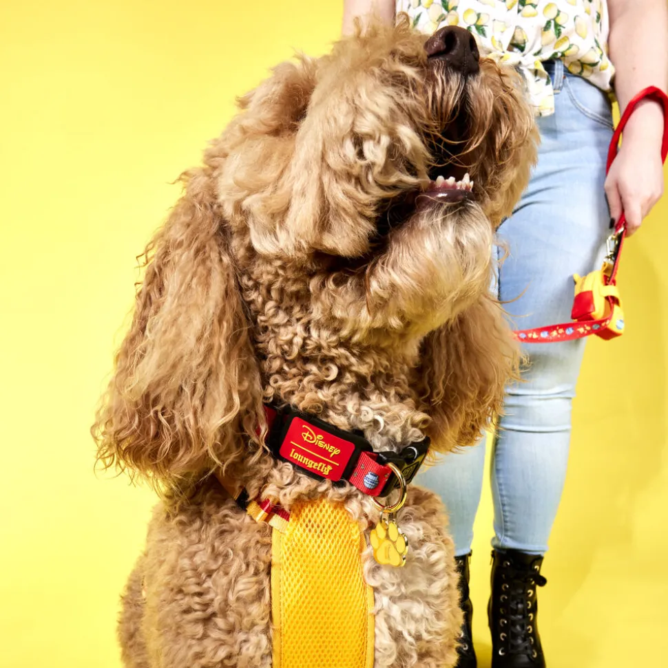 Disney Pet Accessories<Winnie The Pooh Dog Collar