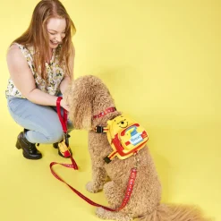 Disney Pet Accessories<Winnie The Pooh Dog Leash